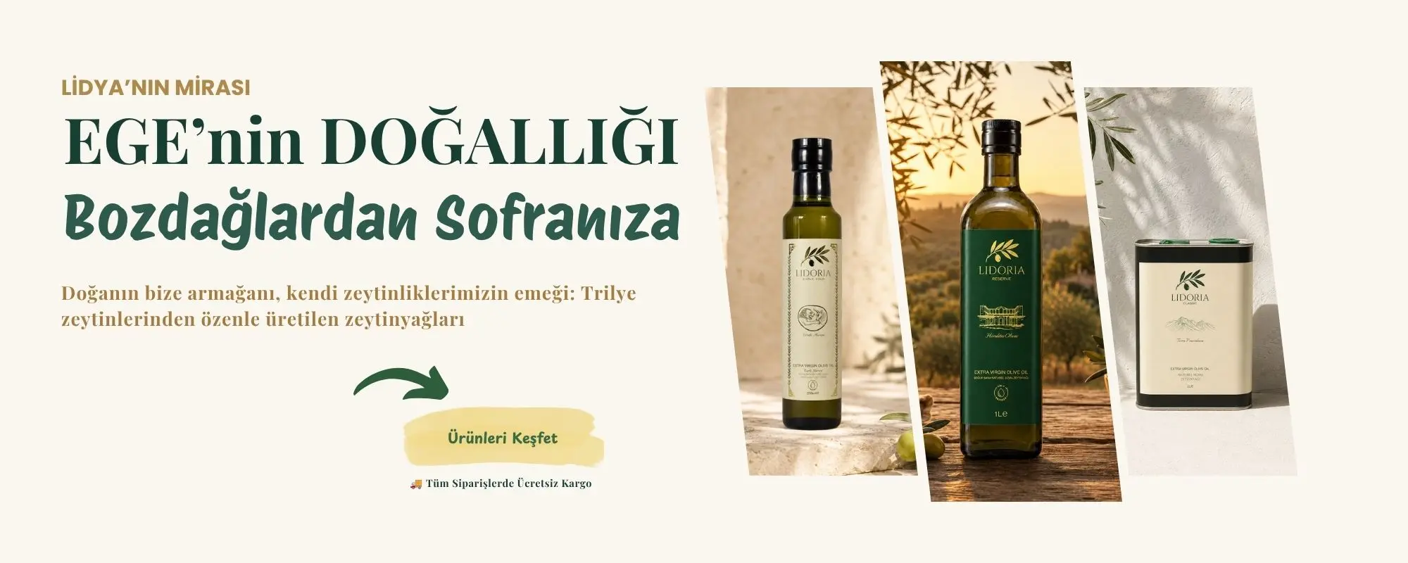 Lidoria naturel sızma zeytinyağı ve Trilye zeytinleri